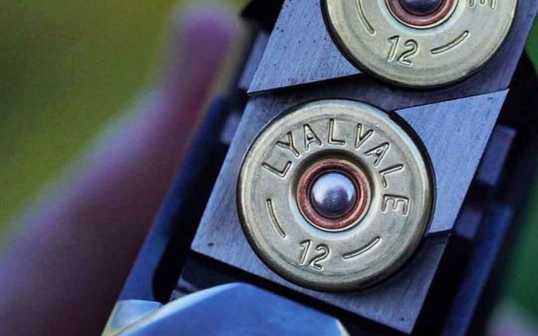 Understanding shotgun cartridges: the five components explained